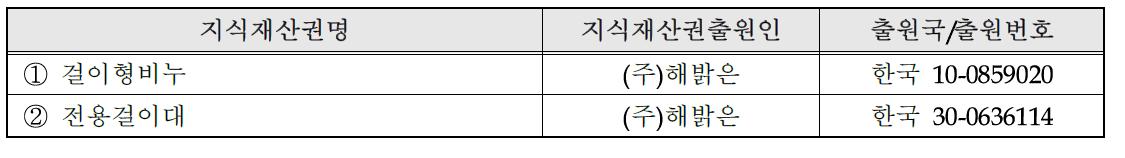 국내외 관련지식재산권 현황