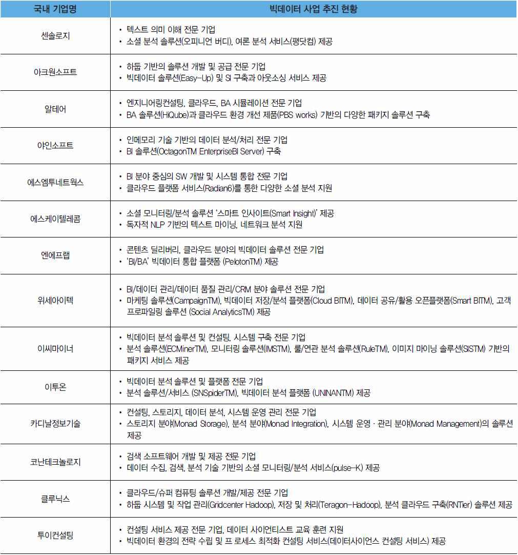 국내 빅데이터 기업의 사업 추진 현황