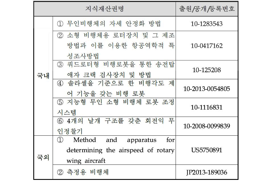 국내외 관련 지식재산권 현황