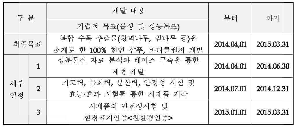 기술개발 일정