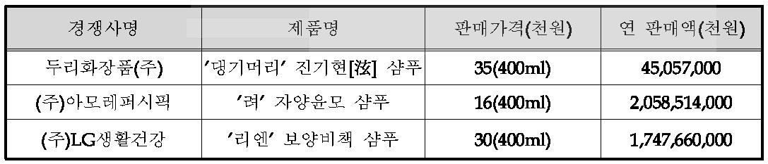 국내외 주요시장 경쟁사