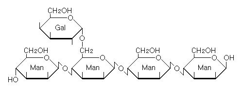 Structure of D.P 5 from copra galactomannan hydrolysates.