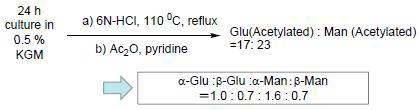 산 가수분해법(Acid hydrolysis)을 이용한 당 분해