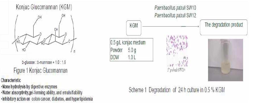 효소적 가수분해법(Enzymatic hydrolysis)으로 당 분해