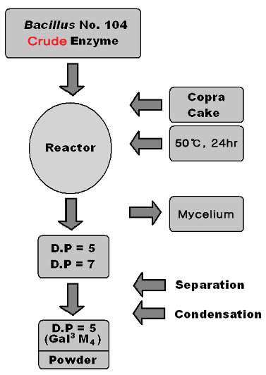 Crude enzyme system을 이용하여 Gal3Man4 제조공정