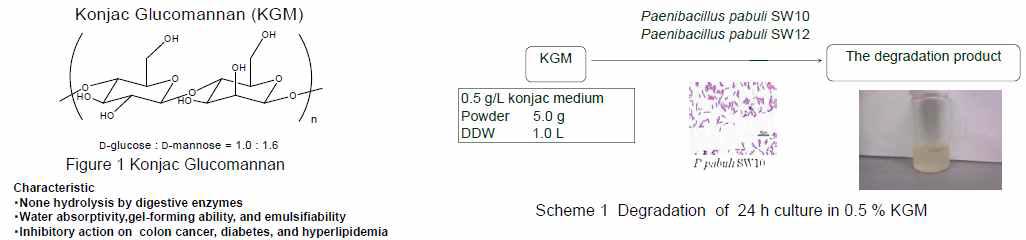 효소적 가수분해법(Enzymatic hydrolysis)으로 당 분해