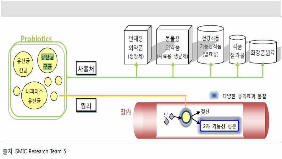 Prebiotics소재개발에 따른 활용분야