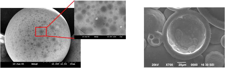 다공성 중공 고분자 입자의 SEM 사진.