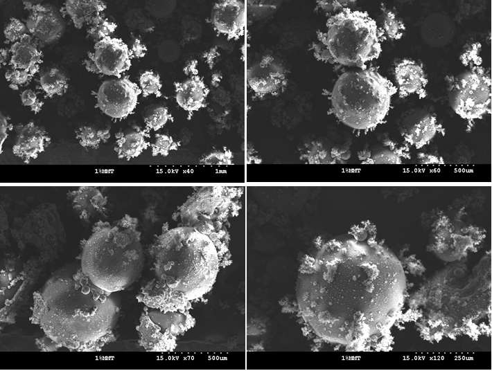 배율별 PVA/MMT/로즈마리 향 캡슐의 SEM 사진.