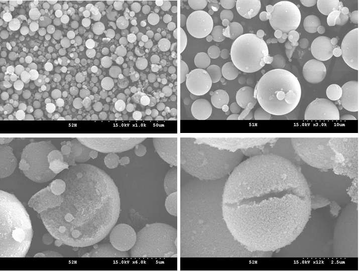 배율별 PVA/Ag/MMT/로즈마리 향 캡슐의 SEM 사진.