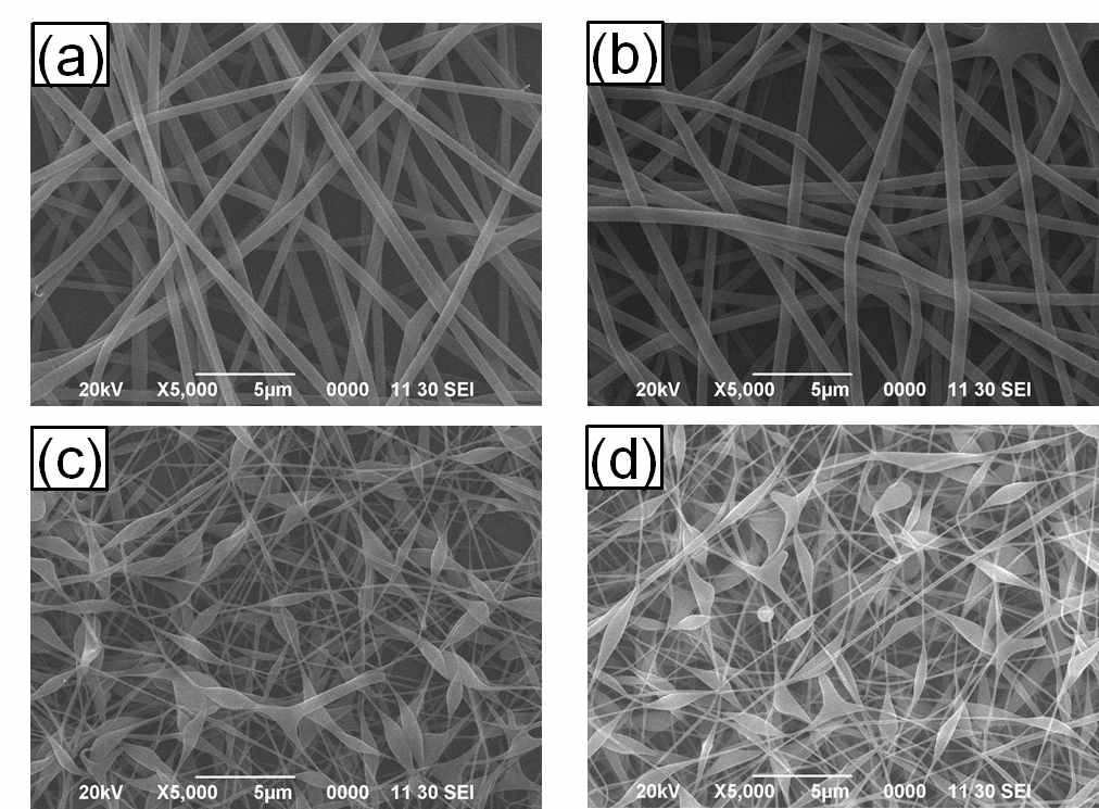 (a) PVA 나노섬유와 PVA/로즈마리 나노섬유 (b) 1wt.%, (c) 3wt.%, (d) 5wt.% SEM사진.