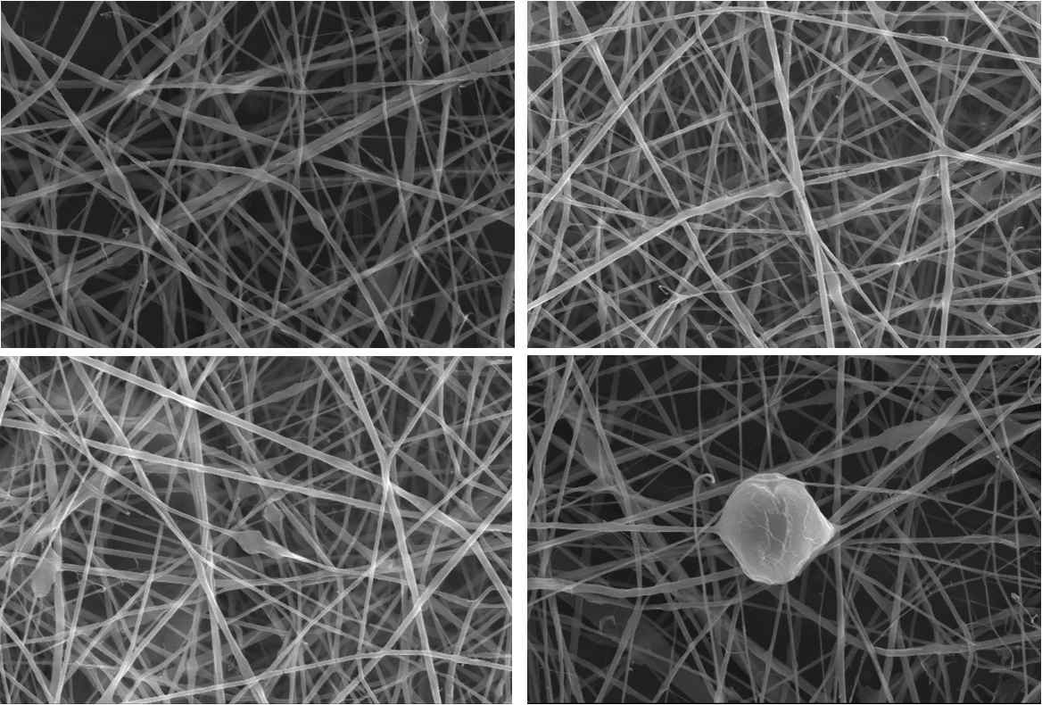 농도별 콜라겐/로즈마리 향 나노섬유의 SEM 사진.