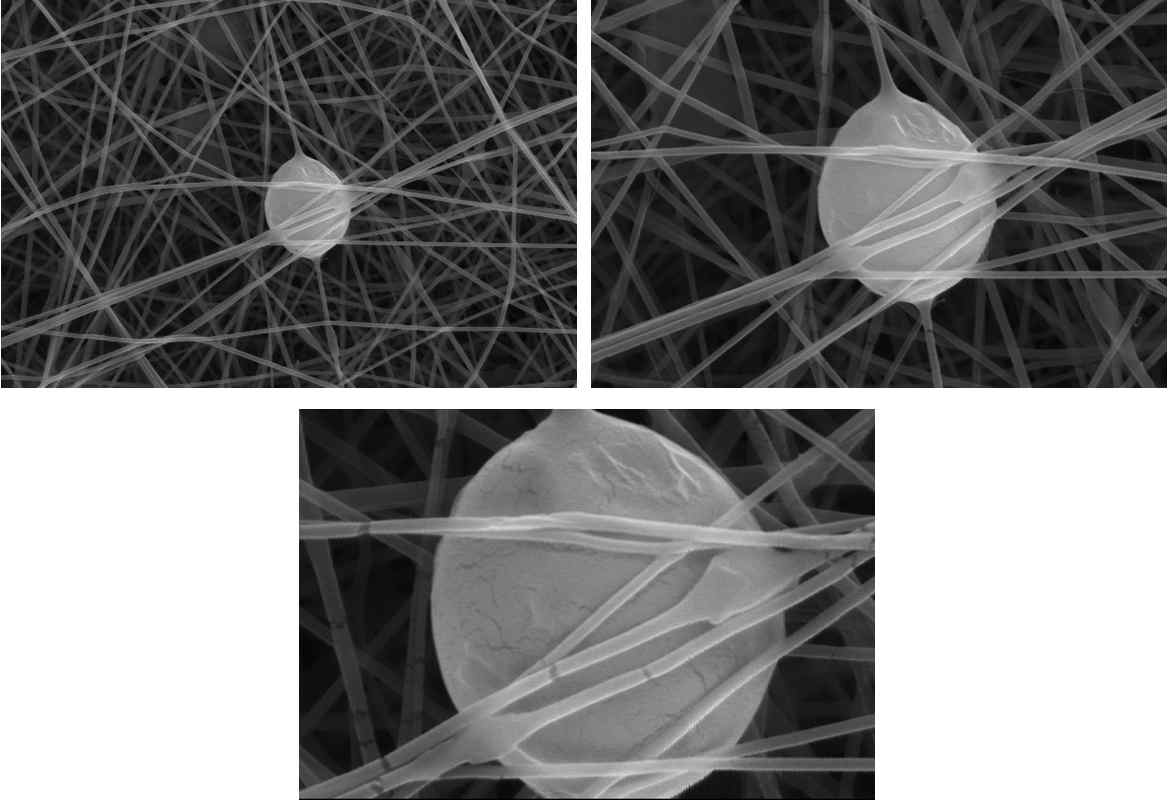 배율별 콜라겐/라벤더 향 나노섬유의 SEM 사진.
