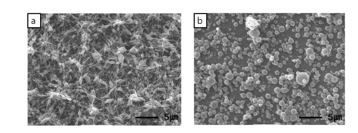 농도를 (a) 10wt.%, (b) 30wt.%로 조절한 콜라겐 나노 입자의 SEM 사진.
