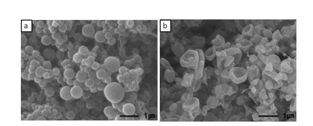 최적 조건의 전기 분사로 제조된 (a)콜라겐 나노입자와 (b)콜라겐/천연향