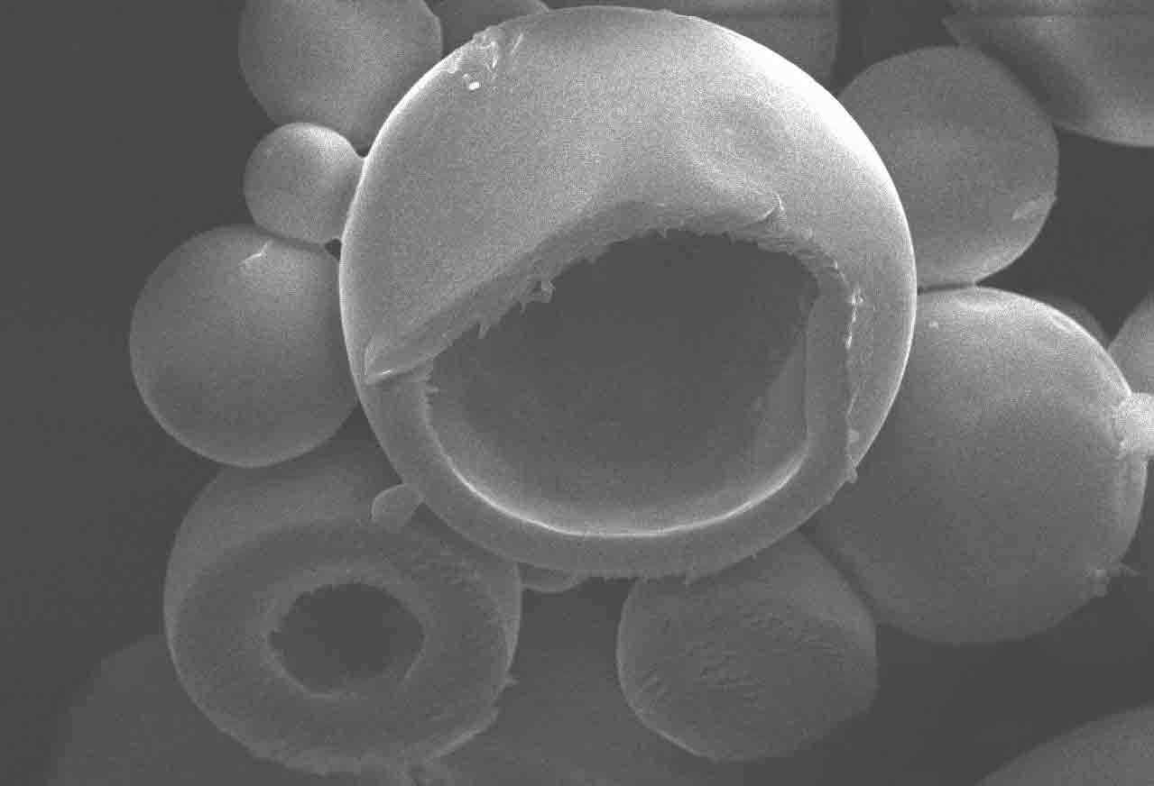 전기분사법에 의해 제조된 콜라겐 다공성 입자의 SEM 사진.