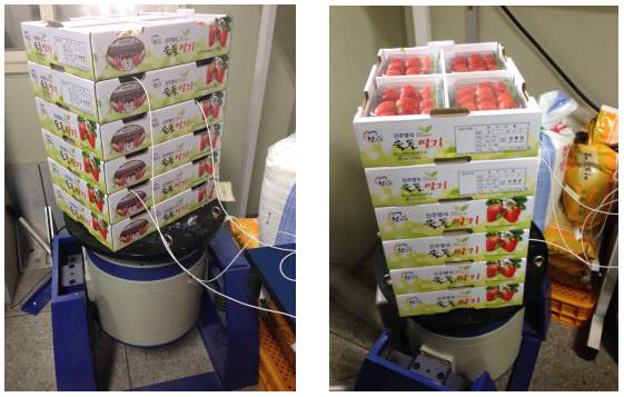 딸기의 공진실험을 통한 공진주파수 대역 검출 진동실험