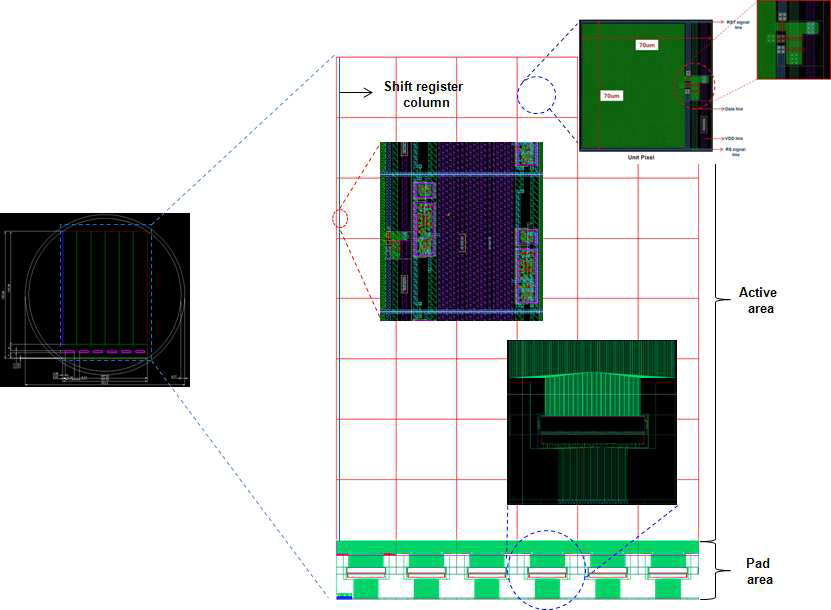 Wafer Layout