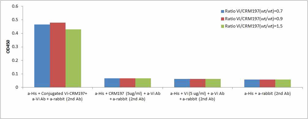 Vi-CRM197 conjugate의 ELISA 분석 결과