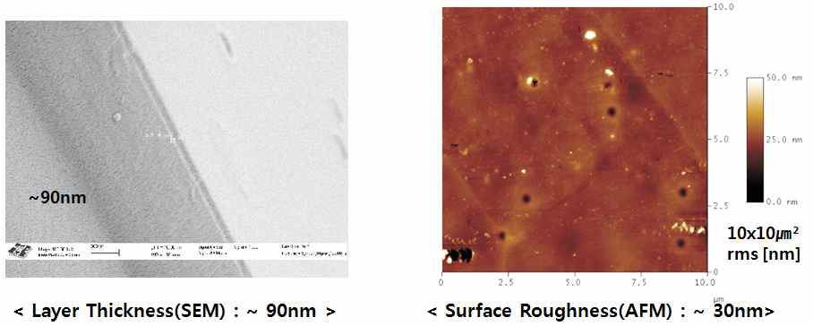 형성된 박막의 SEM 및 AFM사진
