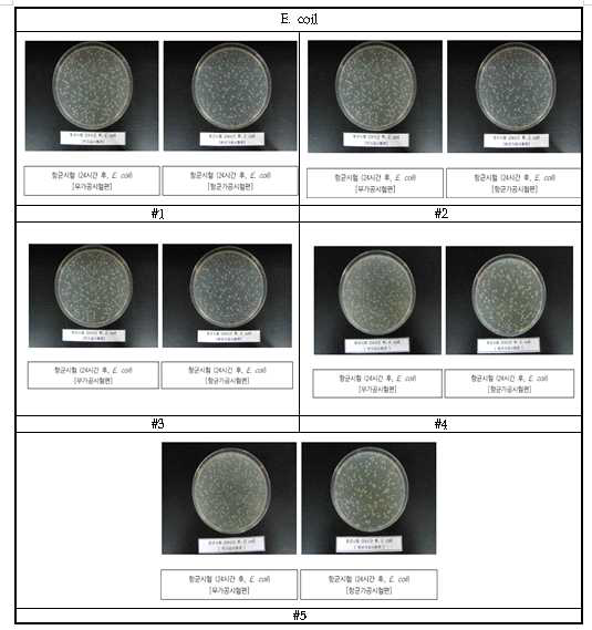 Antibacterial activity of BIOCLEANACT for silicone pad E. coil after 24 h. 항균처리전(a) 항균처리후 (b)