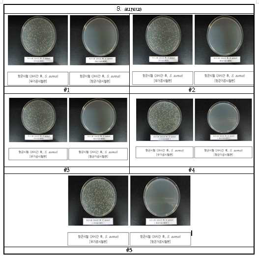 Antibacterial activity of BIOCLEANACT for silicone pad S.aureus after 24 h. 항균처리전(a) 항균처리후 (b)