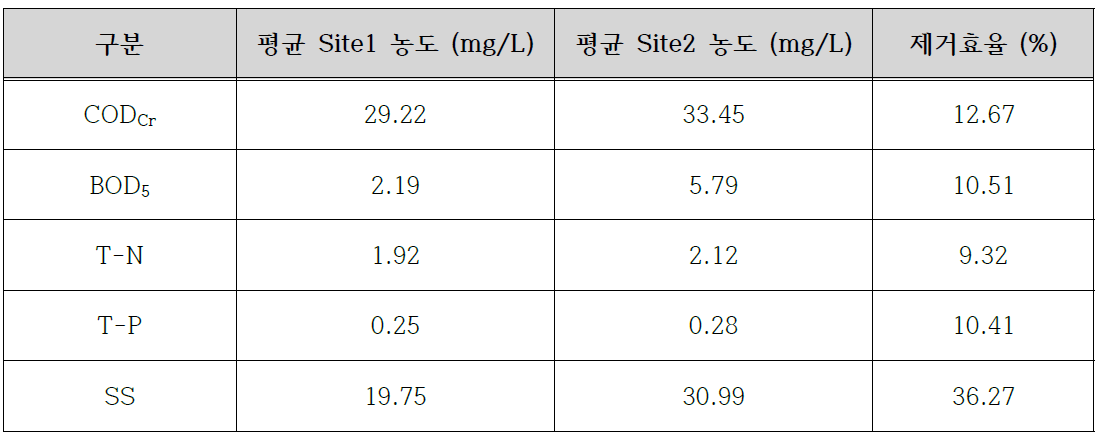 서울시 S대학교 내 연못수 실험 결과 및 제거효율