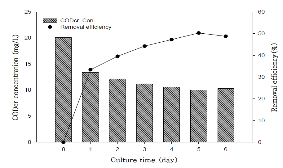 호소수의 CODCr 농도변화 및 제거효율
