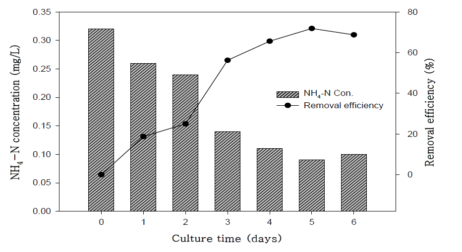 호소수의 NH4+-N 농도변화 및 제거효율