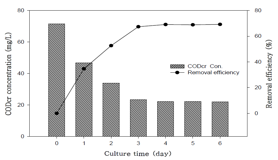 하수의 CODCr 농도변화 및 제거효율
