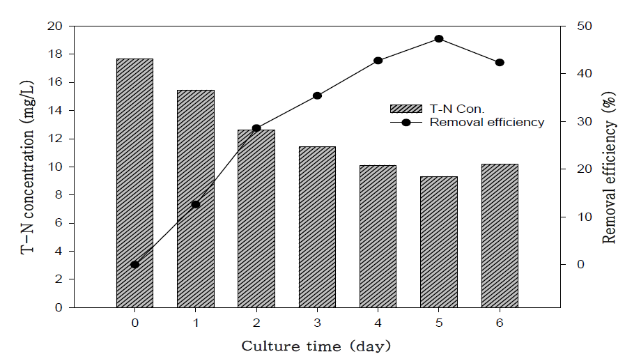 하수의 T-N 농도변화 및 제거효율