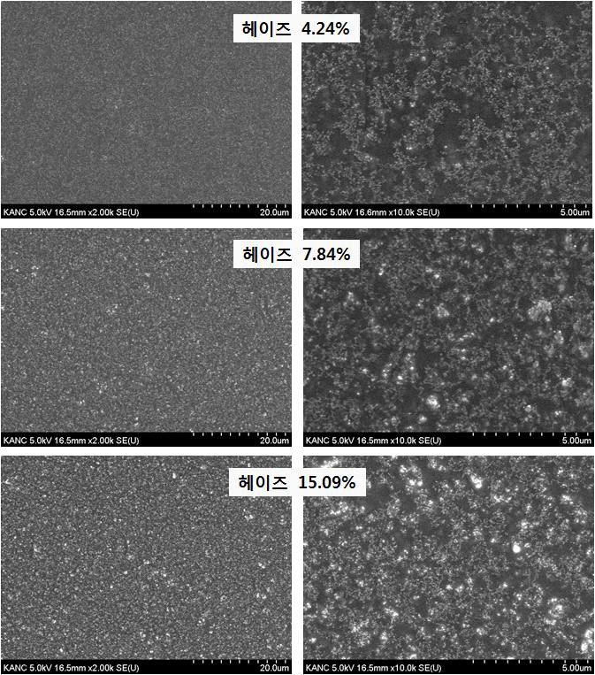 헤이즈별 코팅막의 주사전자현미경(SEM) 사진