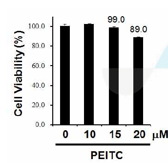 RAW 264.7 cells were treated with PEITC (10, 15, 20 mM) for 4 h.