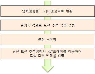 로컬 모션 벡터 검출 과정