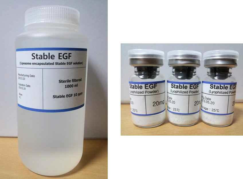 개량형 EGF 성장인자의 solution type와 powder type 제품