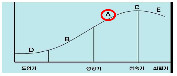 신청기술의 기술수명주기상 위치