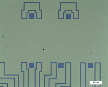 포토리소그래피 공정 및 마스크 3번으로 형성된 channel stopper 마스크 패턴, 50배 확대 현미경 사진