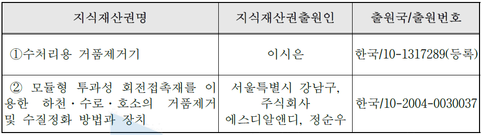 국내외 관련지식재산권 현황