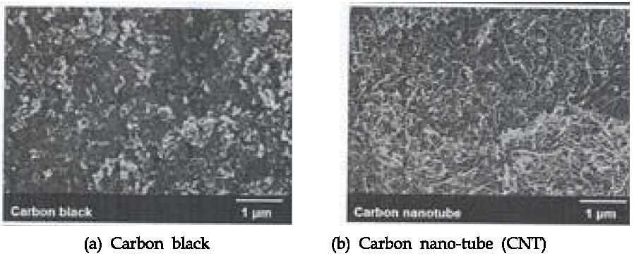 다양한 나노 Carbon 예비실험 재료의 SEM 사진