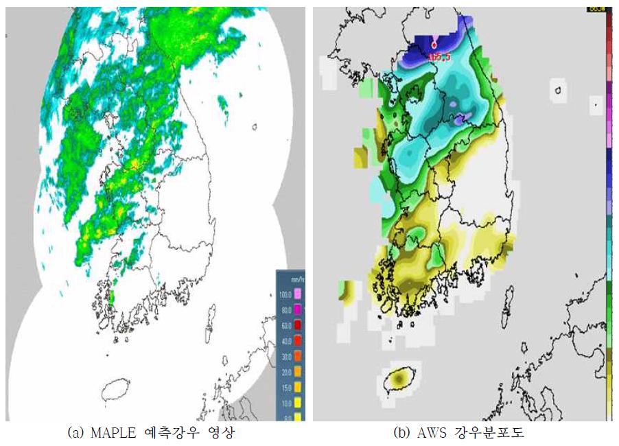 태풍 할롤라 MAPLE 영상 및 지상강우 분포도