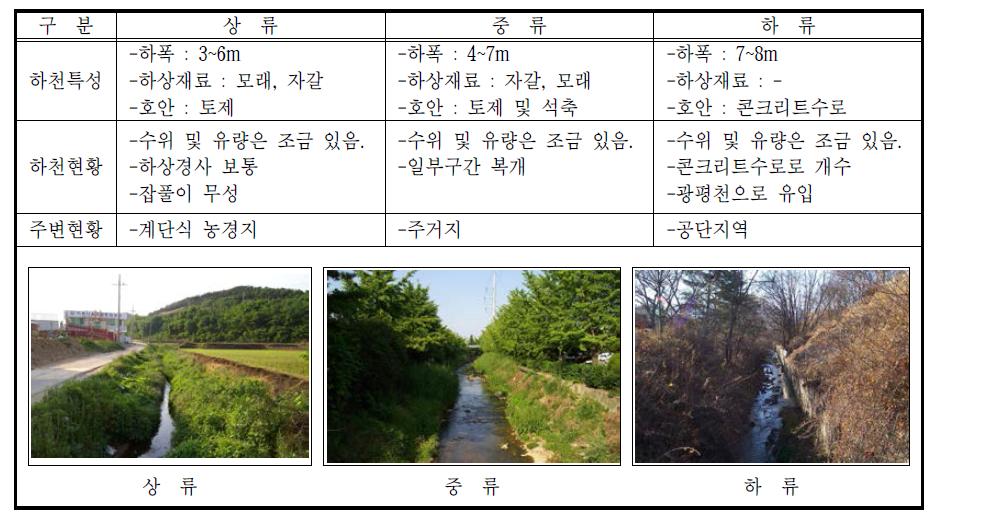 갓골천의 하도 특징