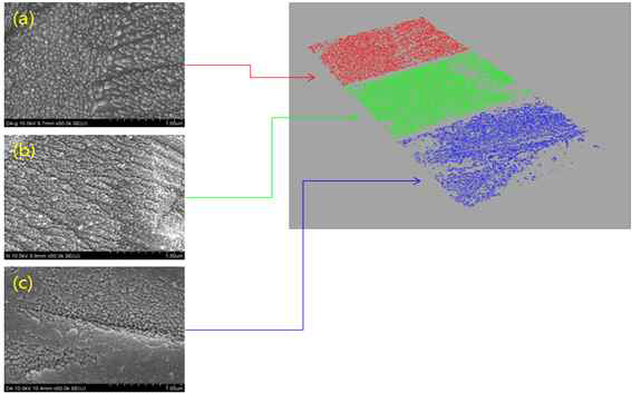 bone block을 이용한 표면 코팅층 박리 시험 (이미지 처리를 통한 분석)