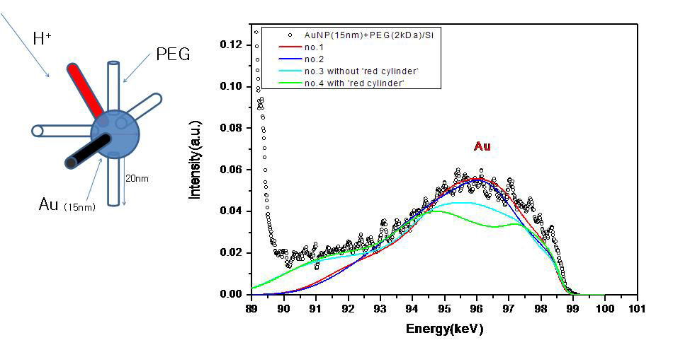 PEG를 표면 리간드로 사용한 금 나노 입자의 MEIS 스펙트럼과 시뮬레이션 결과