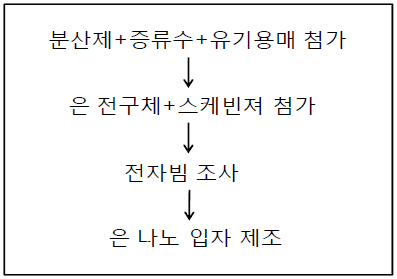 은 나노 입자 제조 과정