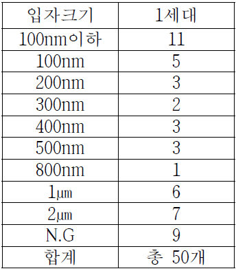 1세대의 입자크기