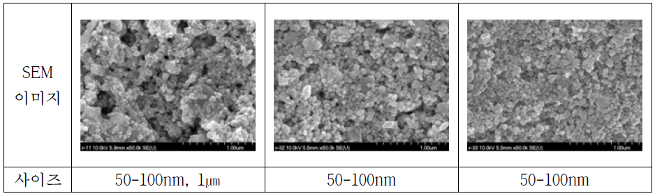 50-100nm 입자크기 분포를 1세대 은 나노입자의 크기 SEM 사진
