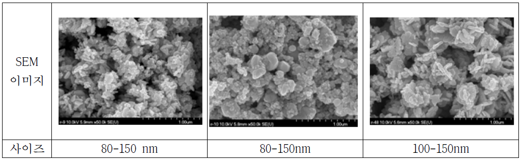 최종등급이 높은 2차 1세대 은 나노입자의 크기 SEM 사진