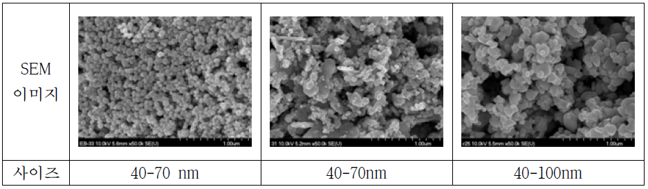 최종등급이 높은 2차 3세대 은 나노입자의 크기 SEM 사진