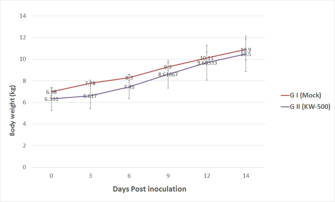 Comparison of body weight change between mock- and KW-500 administrated groups. Values are mean ± standard deviation (*P > 0.05)