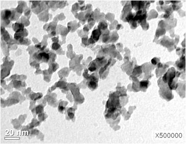 Al₂O₃ 무기분산졸의 TEM 사진